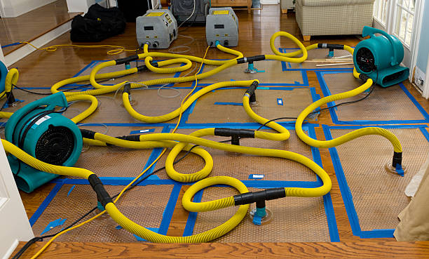 Professional Basement Flood Cleanup technician working in Yazoo City, MS